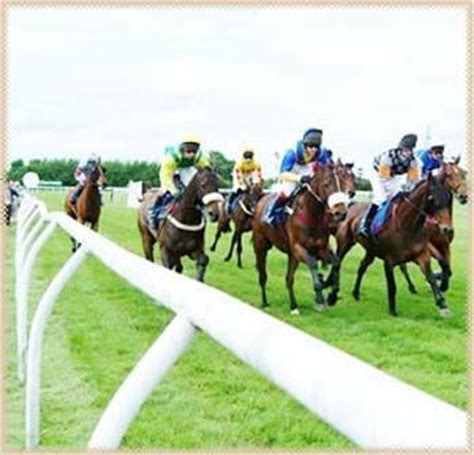 rctc online betting app|Royal Calcutta Turf Club.